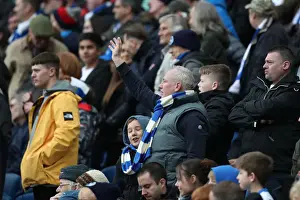 Premier League Showdown: Brighton & Hove Albion vs. Leicester City (31MAR18)