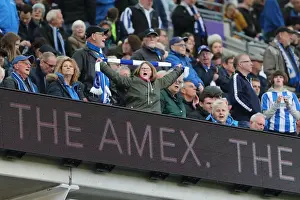 Premier League Showdown: Brighton & Hove Albion vs. Huddersfield Town (07APR18) - American Express Community Stadium