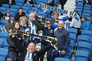 Premier League Showdown: Brighton & Hove Albion vs. Tottenham Hotspur (17APR18) - American Express Community Stadium