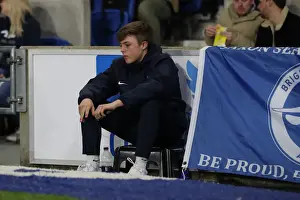 Premier League Showdown: Brighton & Hove Albion vs. Tottenham Hotspur (17APR18)
