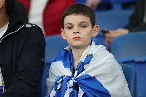 Premier League Showdown: Brighton & Hove Albion vs. Tottenham Hotspur (17APR18) - American Express Community Stadium