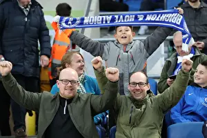 Premier League Showdown: Brighton & Hove Albion vs. Tottenham Hotspur (17APR18)
