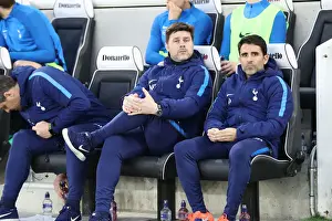 Premier League Showdown: Brighton & Hove Albion vs. Tottenham Hotspur (17APR18)