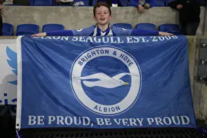 Premier League Showdown: Brighton & Hove Albion vs. Tottenham Hotspur (17APR18) - American Express Community Stadium