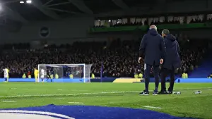 Premier League Showdown: Brighton & Hove Albion vs. Crystal Palace (December 4, 2018) - American Express Community Stadium