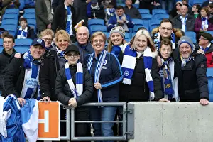Premier League Showdown: Brighton & Hove Albion vs. Everton at American Express Community Stadium (29DEC18)