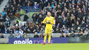 Premier League Showdown: Brighton & Hove Albion vs. Everton at American Express Community Stadium (29DEC18)