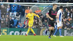 Premier League Showdown: Brighton & Hove Albion vs. Everton at American Express Community Stadium (29DEC18)