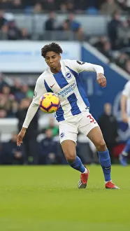 Premier League Showdown: Brighton & Hove Albion vs. Everton at American Express Community Stadium (29DEC18)