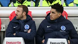 Premier League Showdown: Brighton & Hove Albion vs. Everton at American Express Community Stadium (29DEC18)