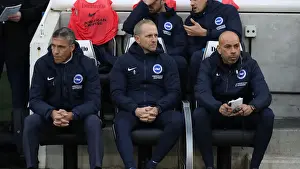 Premier League Showdown: Brighton & Hove Albion vs. Everton at American Express Community Stadium (29DEC18)