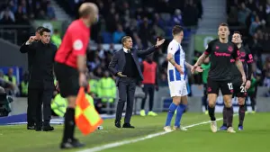 Premier League Showdown: Brighton & Hove Albion vs. Everton at American Express Community Stadium (29DEC18)
