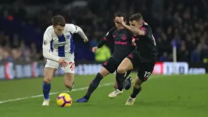 Premier League Showdown: Brighton & Hove Albion vs. Everton at American Express Community Stadium (29DEC18)