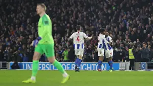 Premier League Showdown: Brighton & Hove Albion vs. Everton (29DEC18) - American Express Community Stadium