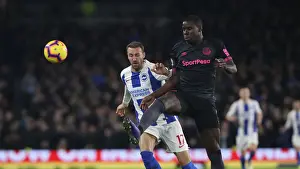 Premier League Showdown: Brighton & Hove Albion vs. Everton at American Express Community Stadium (29DEC18)