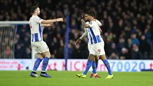 Premier League Showdown: Brighton & Hove Albion vs. Everton (29DEC18) - American Express Community Stadium