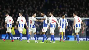 Premier League Showdown: Brighton & Hove Albion vs. Everton at American Express Community Stadium (29DEC18)