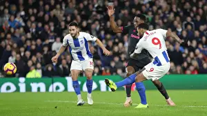 Premier League Showdown: Brighton & Hove Albion vs. Everton at American Express Community Stadium (29DEC18)