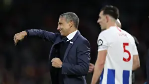 Premier League Showdown: Brighton & Hove Albion vs. Liverpool at American Express Community Stadium (January 9, 2019)