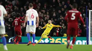 Premier League Showdown: Brighton & Hove Albion vs. Liverpool at American Express Community Stadium (January 9, 2019)