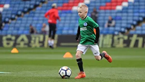 Premier League Showdown: Brighton and Hove Albion vs. Crystal Palace (09MAR19) - Selhurst Park