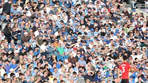 Premier League Showdown: Brighton & Hove Albion vs. Southampton (30MAR19)