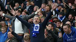 Premier League Showdown: Brighton & Hove Albion vs. Newcastle United (27APR19)