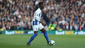 Premier League Showdown: Brighton & Hove Albion vs. Newcastle United (27APR19)