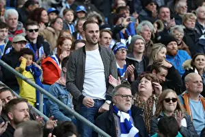 Premier League Showdown: Brighton & Hove Albion vs. Newcastle United (27APR19)