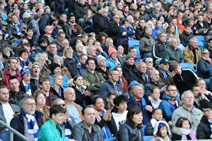 Premier League Showdown: Brighton & Hove Albion vs. Newcastle United (27APR19) - American Express Community Stadium