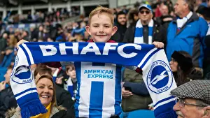 Premier League Showdown: Brighton & Hove Albion vs. Newcastle United (27APR19) - American Express Community Stadium