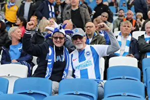 Premier League Showdown: Brighton & Hove Albion vs. Newcastle United (27APR19)
