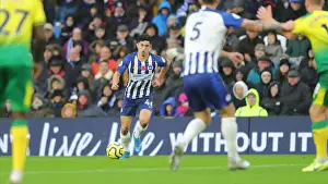 Premier League Showdown: Brighton & Hove Albion vs. Norwich City (November 2, 2019)