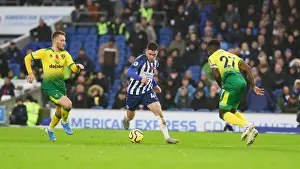 Premier League Showdown: Brighton & Hove Albion vs. Norwich City (November 2, 2019)