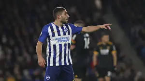 Premier League Showdown: Brighton & Hove Albion vs. Wolverhampton Wanderers (08DEC19)