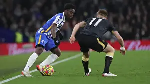 Premier League Showdown: Brighton & Hove Albion vs. Newcastle United (November 6, 2021)