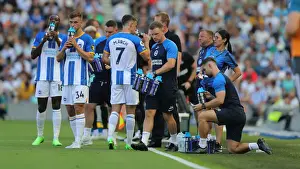Premier League Showdown: Brighton & Hove Albion vs. Newcastle United (13AUG22)