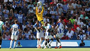 Premier League Showdown: Brighton & Hove Albion vs. Newcastle United (13AUG22)