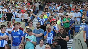 Premier League Showdown: Brighton & Hove Albion vs. Newcastle United (13AUG22)