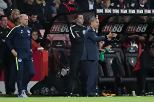 Premier League Showdown: Brighton and Hove Albion vs AFC Bournemouth at Vitality Stadium (15SEP17)