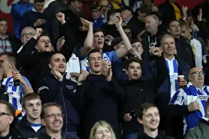 Premier League Showdown: Brighton and Hove Albion vs AFC Bournemouth at Vitality Stadium (15SEP17)