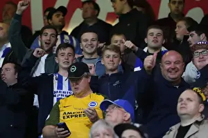 Premier League Showdown: Brighton and Hove Albion vs AFC Bournemouth at Vitality Stadium (15SEP17)