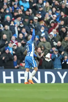 Premier League Showdown: Brighton & Hove Albion vs Swansea City (American Express Community Stadium, 24th February 2018)