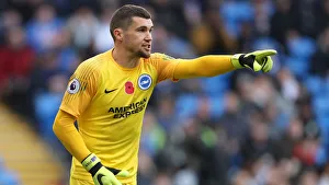 Premier League Showdown: Cardiff City vs. Brighton and Hove Albion (10NOV18)