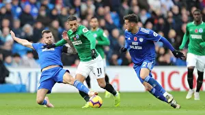 Cardiff City Prints: Premier League Showdown: Cardiff City vs Brighton and Hove Albion (10Nov18)