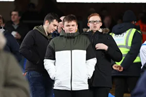 Premier League Showdown: Crystal Palace vs. Brighton and Hove Albion at Selhurst Park (9th March 2019)