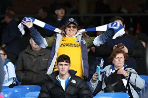 Premier League Showdown: Crystal Palace vs. Brighton and Hove Albion at Selhurst Park (9th March 2019)