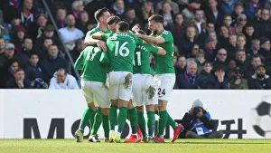 Premier League Showdown: Crystal Palace vs. Brighton and Hove Albion at Selhurst Park (9th March 2019)