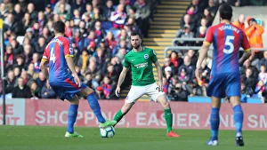 Premier League Showdown: Crystal Palace vs. Brighton and Hove Albion at Selhurst Park (9th March 2019)