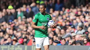 Premier League Showdown: Crystal Palace vs. Brighton and Hove Albion at Selhurst Park (9th March 2019)